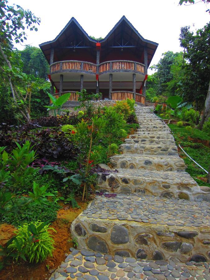 Hotel Orangutan Bukit Lawang Zewnętrze zdjęcie