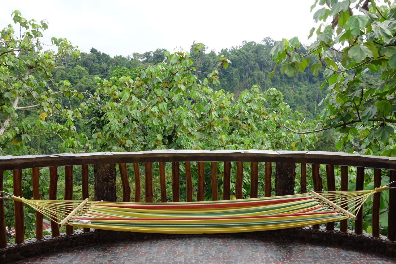 Hotel Orangutan Bukit Lawang Zewnętrze zdjęcie