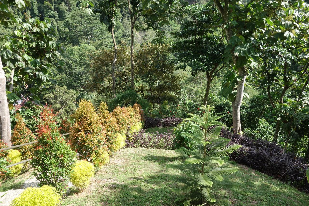 Hotel Orangutan Bukit Lawang Zewnętrze zdjęcie