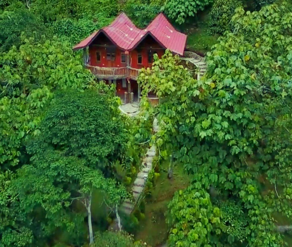 Hotel Orangutan Bukit Lawang Zewnętrze zdjęcie